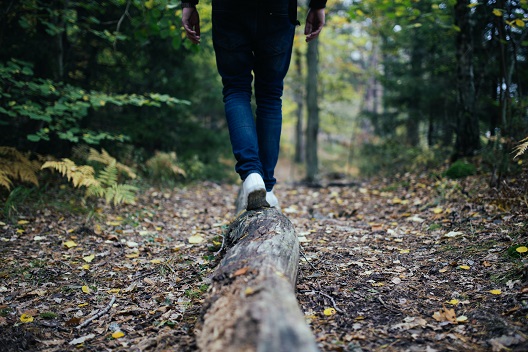 Eine Person balanciert auf einem umgefallenen Baumstamm im Wald.