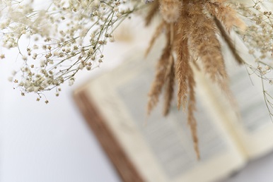 A bouquet hangs above an open Bible.